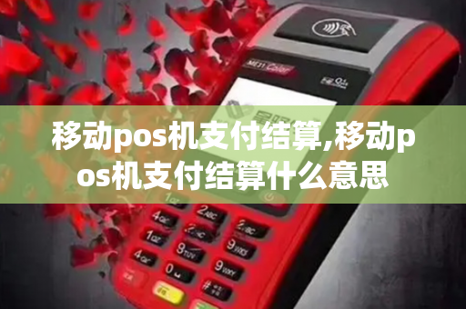 移动pos机支付结算,移动pos机支付结算什么意思