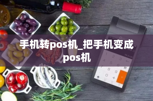 手机转pos机_把手机变成pos机